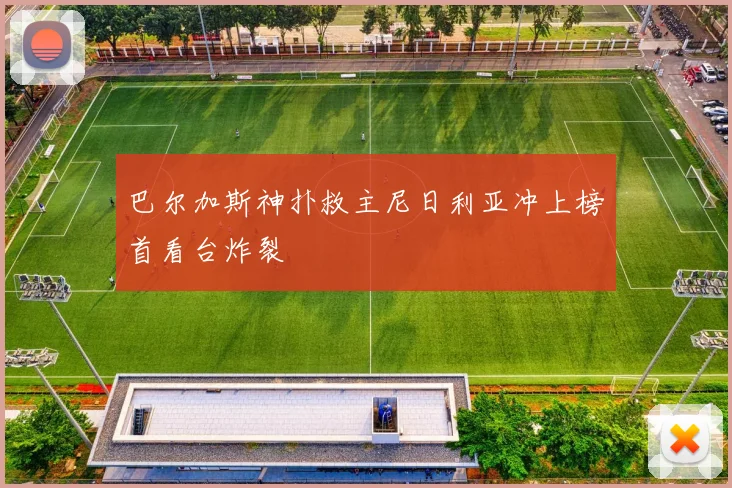 巴尔加斯神扑救主尼日利亚冲上榜首看台炸裂
