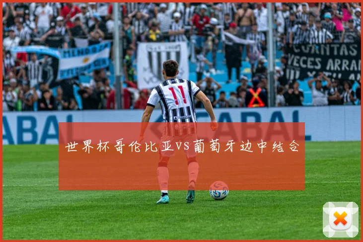 世界杯哥伦比亚vs葡萄牙边中结合