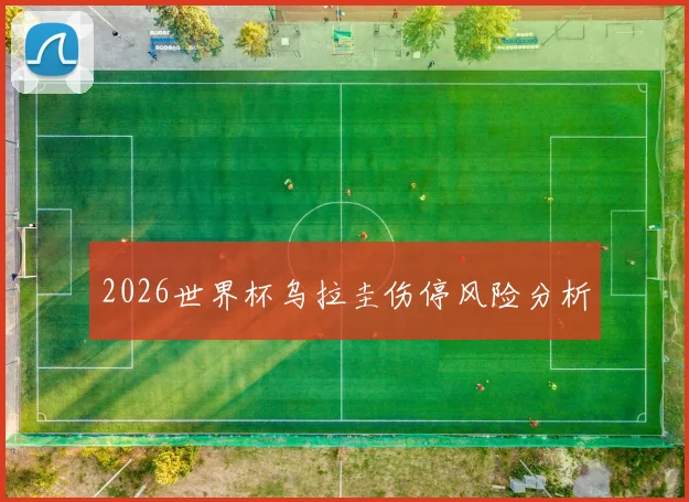 2026世界杯乌拉圭伤停风险分析