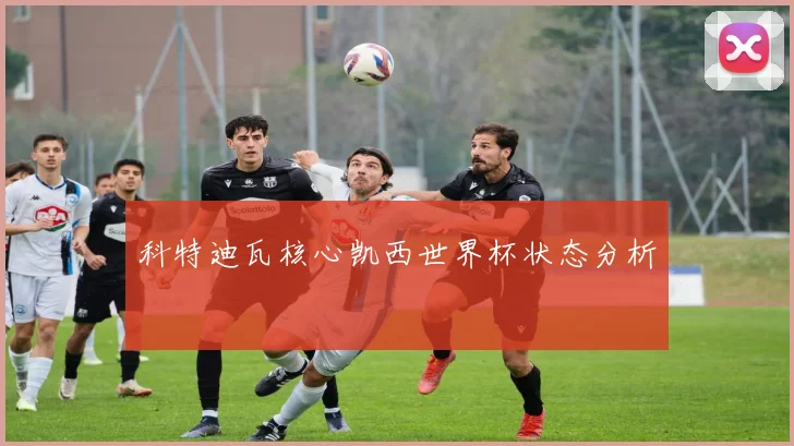 科特迪瓦核心凯西世界杯状态分析