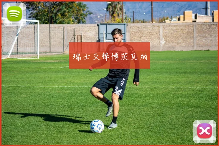 瑞士交锋博茨瓦纳