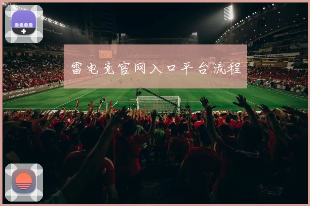 雷电竞官网入口平台流程