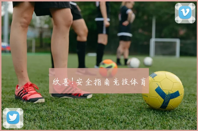 欣喜!安全指南竞技体育