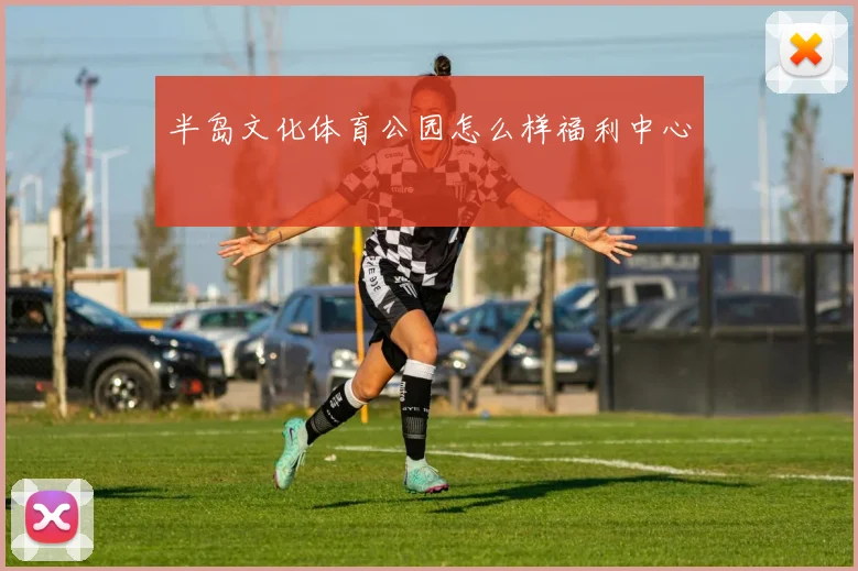 半岛文化体育公园怎么样福利中心