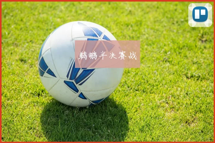 鹈鹕半决赛战