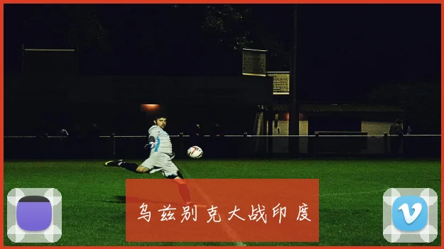 乌兹别克大战印度