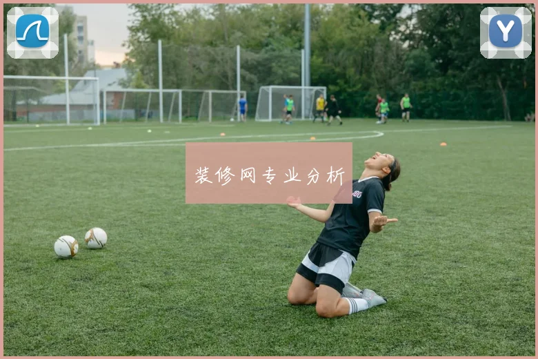 装修网专业分析