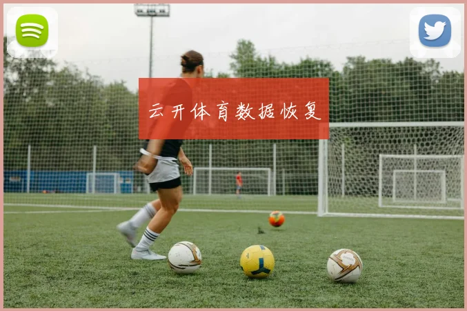 云开体育数据恢复