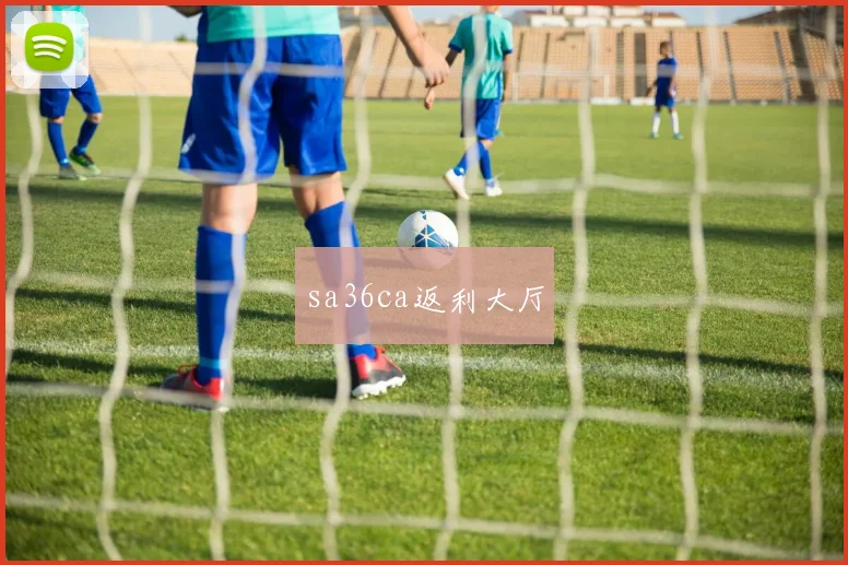 sa36ca返利大厅