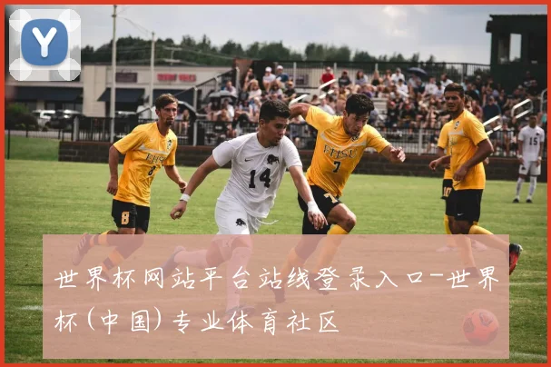 世界杯网站平台站线登录入口-世界杯(中国)专业体育社区