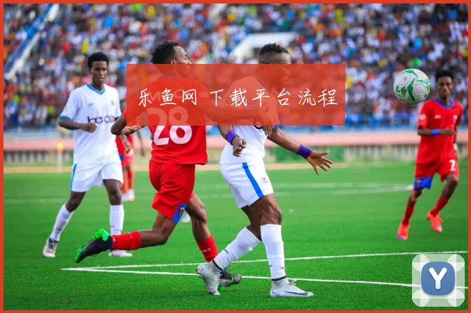 乐鱼网 下载平台流程