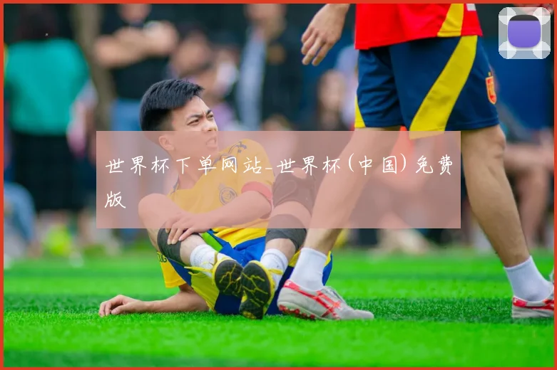 世界杯下单网站_世界杯(中国)免费版