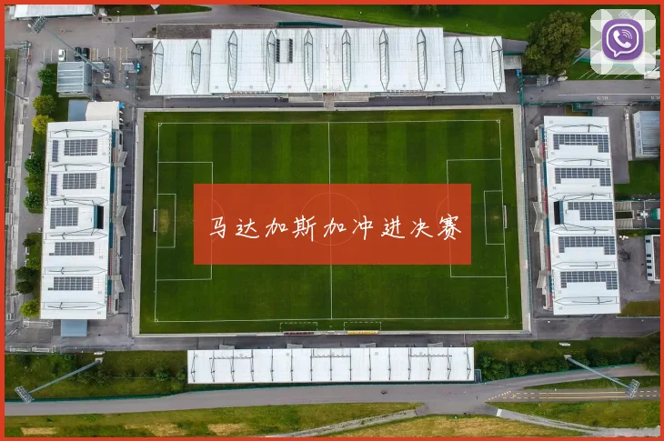 马达加斯加冲进决赛