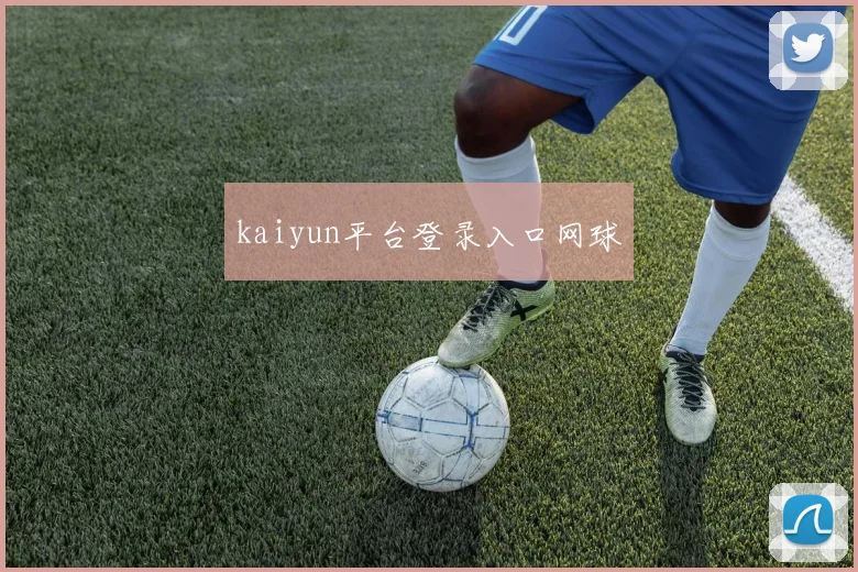 kaiyun平台登录入口网球