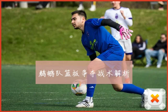 鹈鹕队篮板争夺战术解析