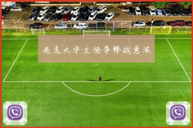 老虎大学主场争锋战意浓