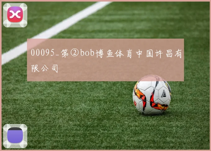 00095_第②bob博鱼体育中国许昌有限公司