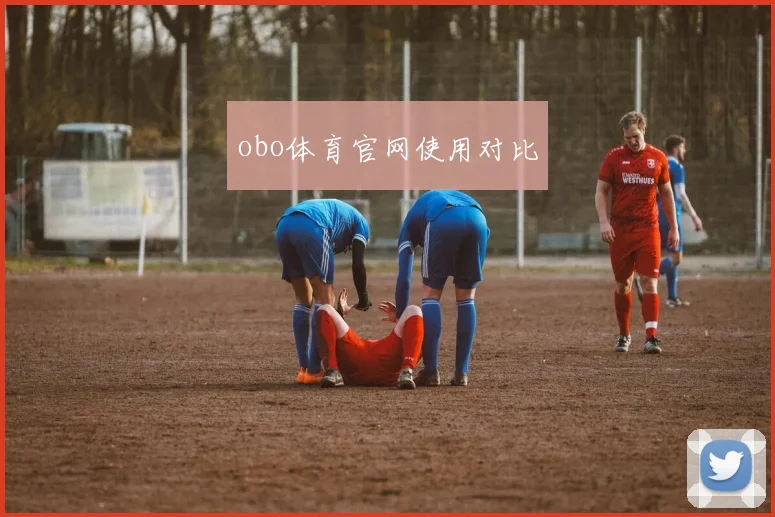 obo体育官网使用对比