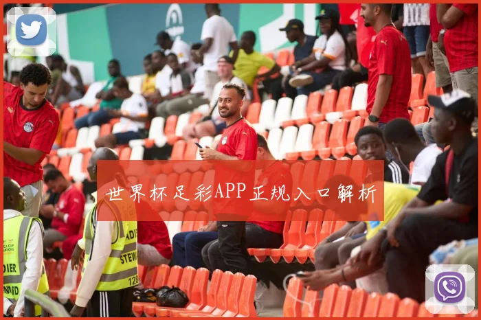 世界杯足彩APP正规入口解析
