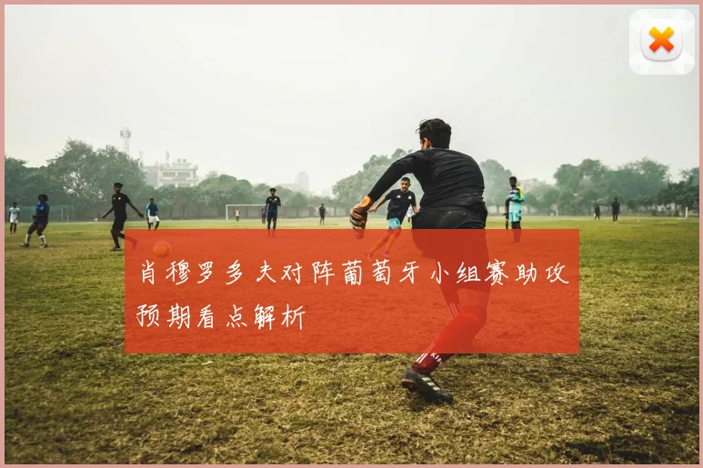 肖穆罗多夫对阵葡萄牙小组赛助攻预期看点解析