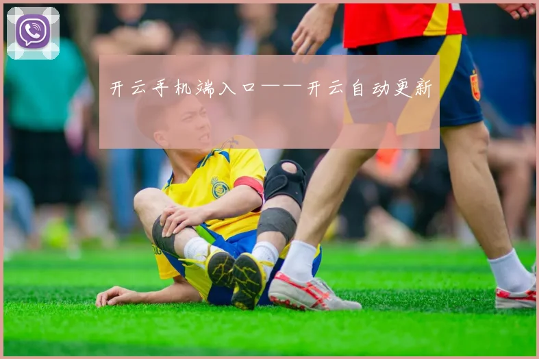 开云手机端入口——开云自动更新