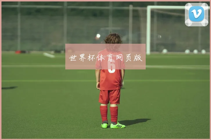 世界杯体育网页版