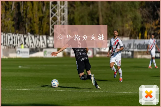公牛抢分关键