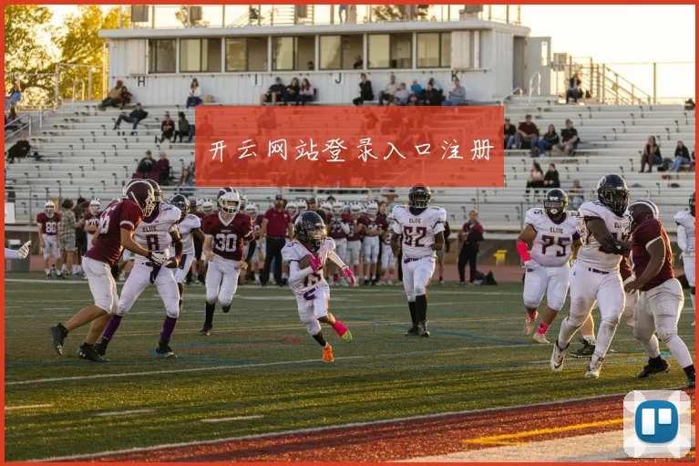 开云网站登录入口注册