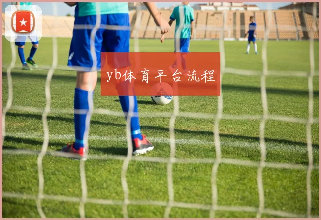 yb体育平台流程