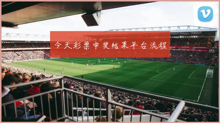 今天彩票中奖结果平台流程