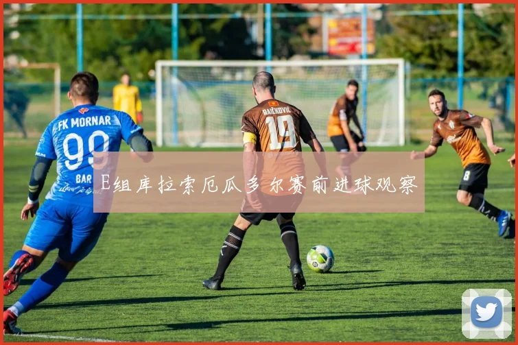 E组库拉索厄瓜多尔赛前进球观察