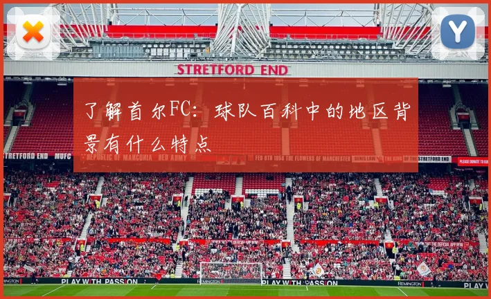 了解首尔FC：球队百科中的地区背景有什么特点
